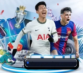 五个功能入口,赛程查询路径更短 - 多运动项目内容板块